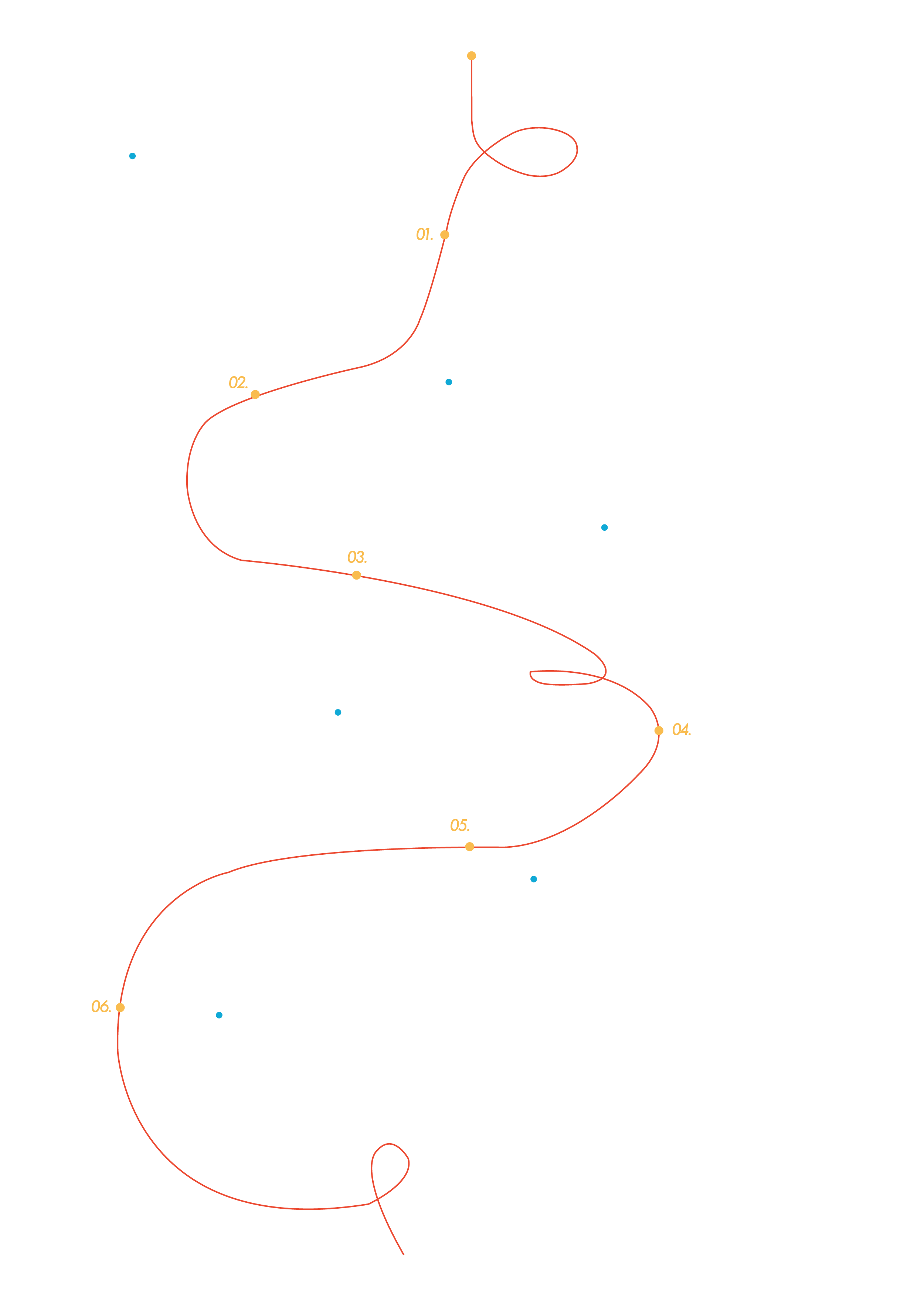 Proceso Marketing